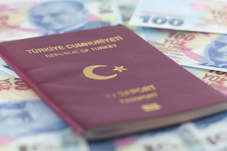 Türkisch_pass-Mobile